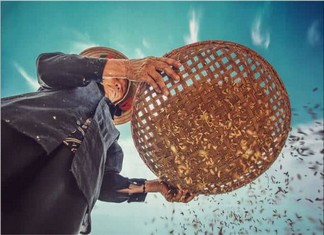 calories white and brown rice calories white and brown rice